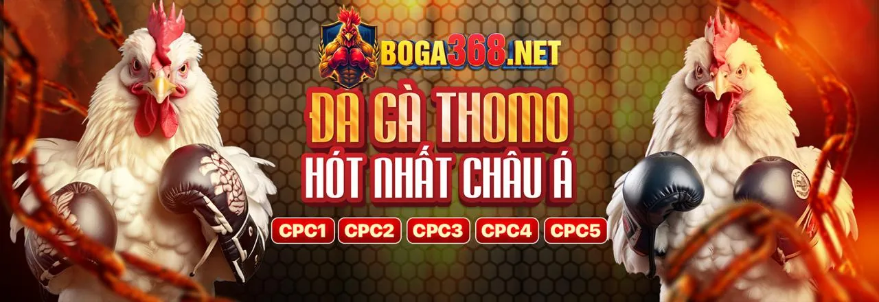 K89XS Điều khoản Dịch vụ